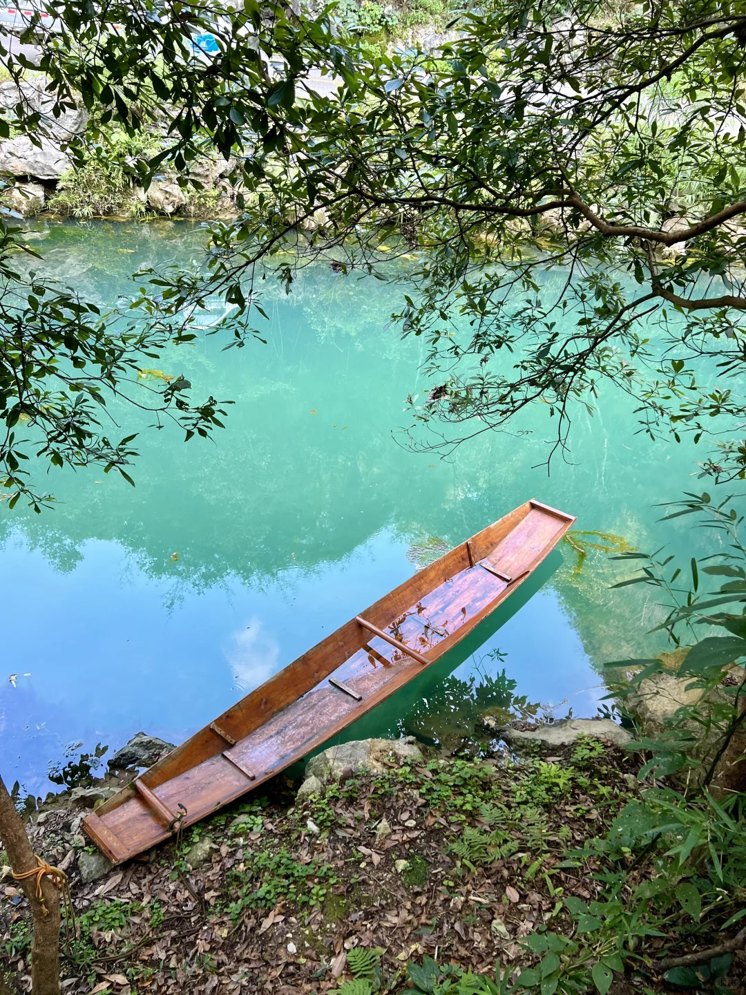 荔波小七孔｜无滤镜live图直出景色图来了🍃