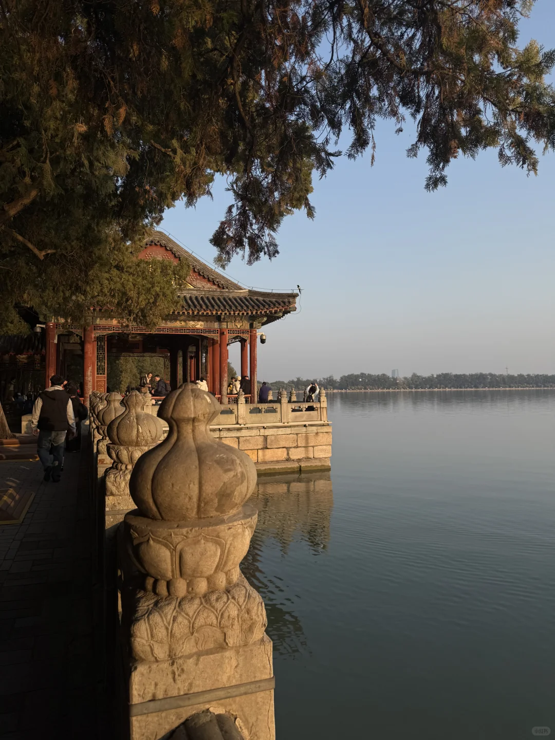 live图！！颐和园的秋天真是在画中游！！