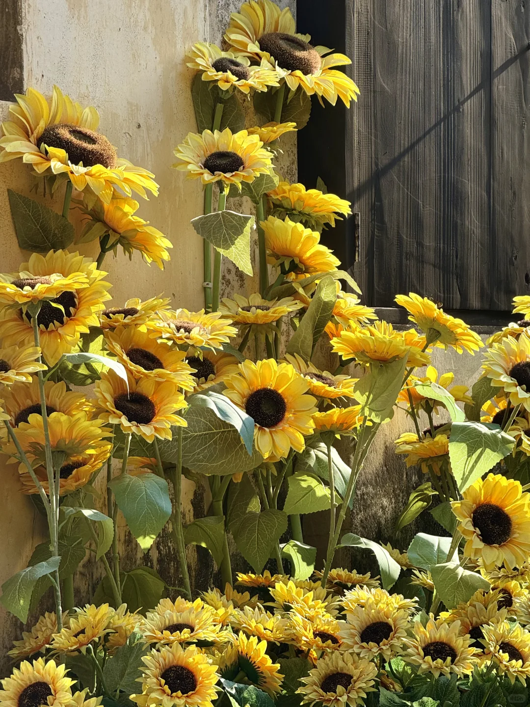 深圳观澜古墟📍百年古村的松弛感疗愈之旅🪨