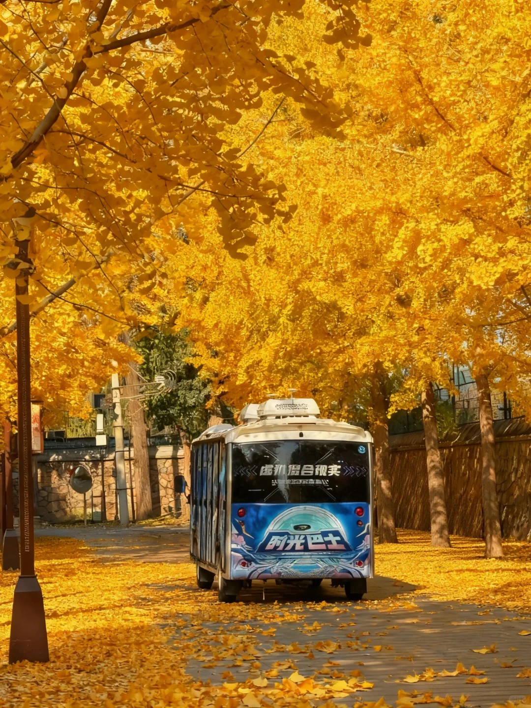 不愧是北京前三的银杏大道🥹……