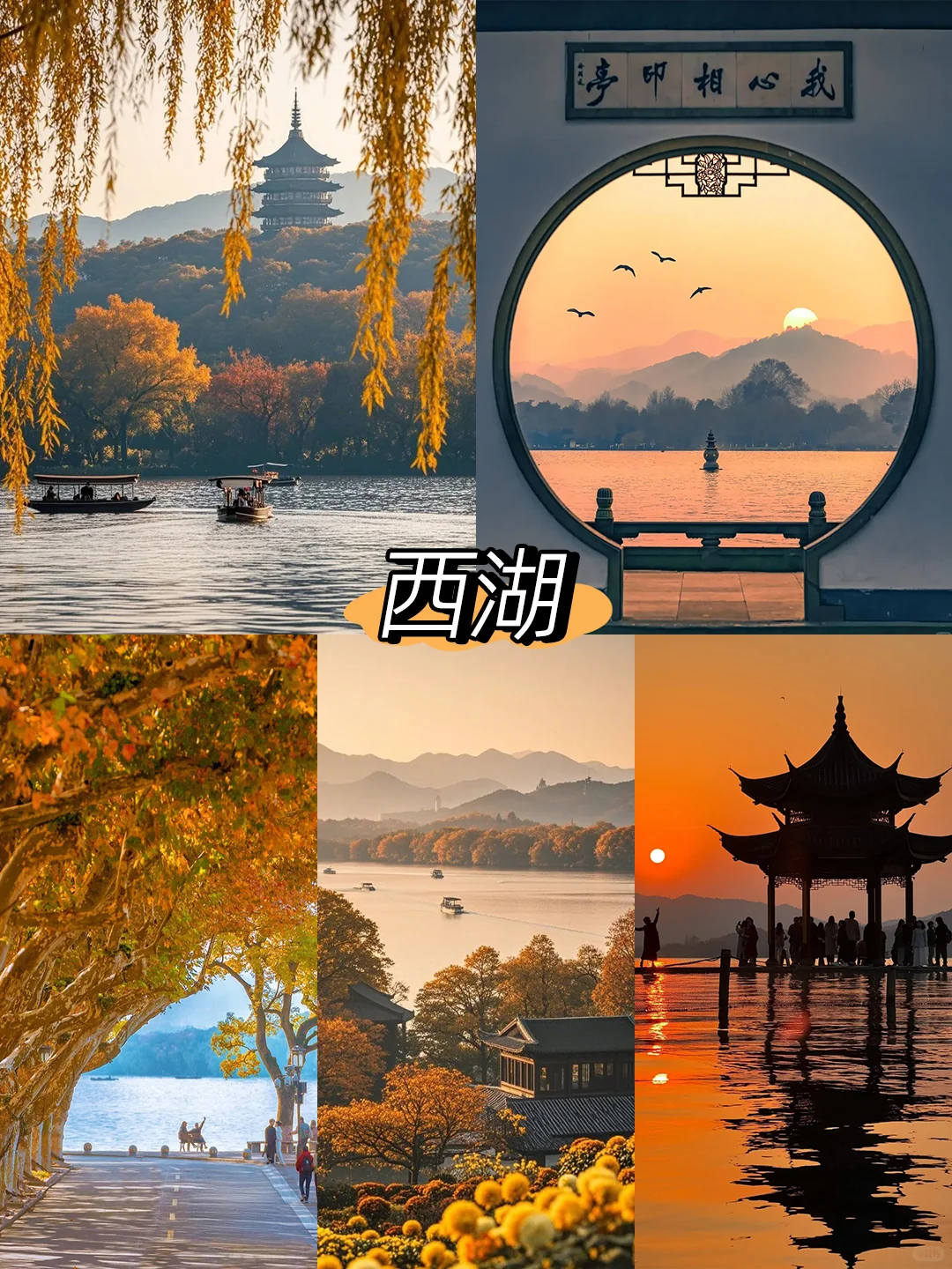 ✈️上海-苏杭Family trip🔥玩7天超chill