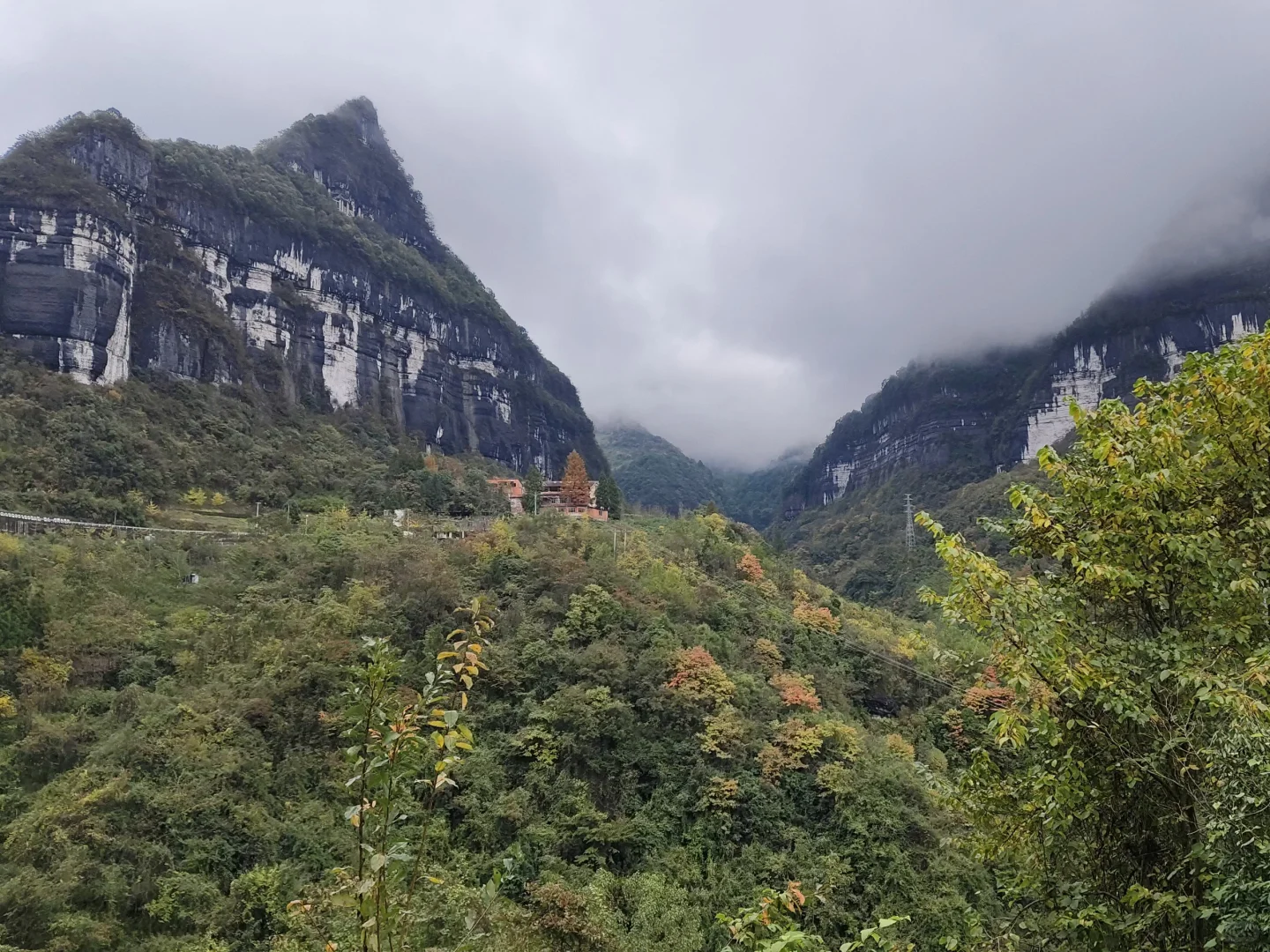 重庆2h直达金佛山山顶｜银杏叶黄了，等下雪