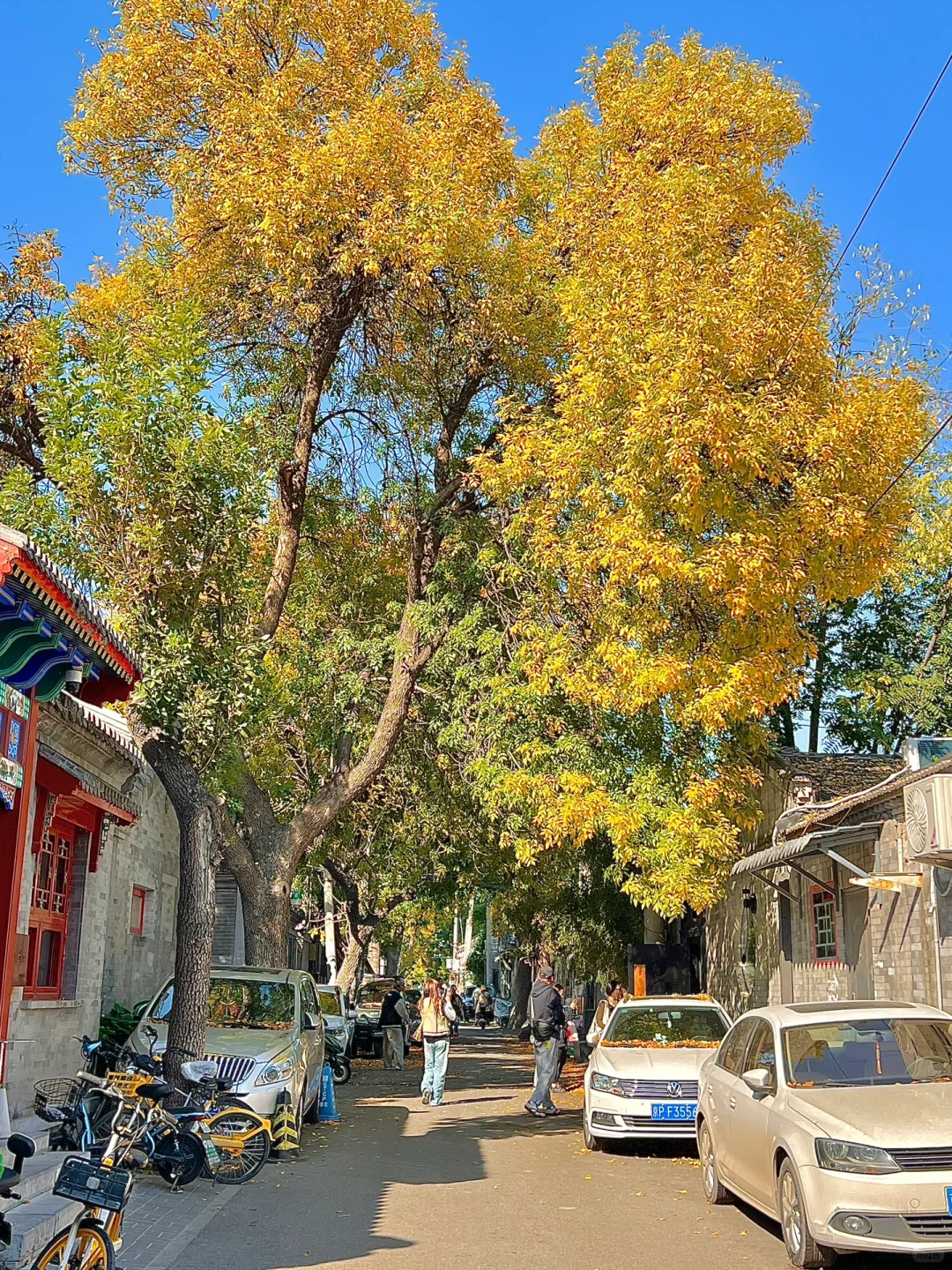 下周来北京一定要走这条赏秋路线