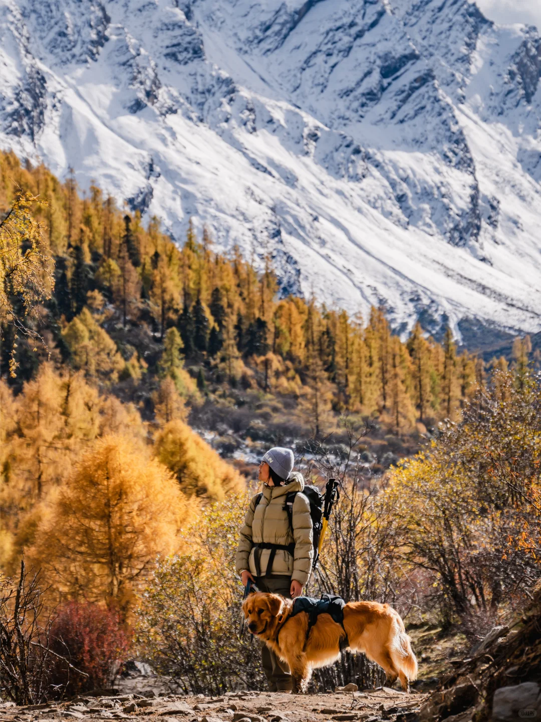 BEIN徒步攻略｜川西玛嘉沟的金秋