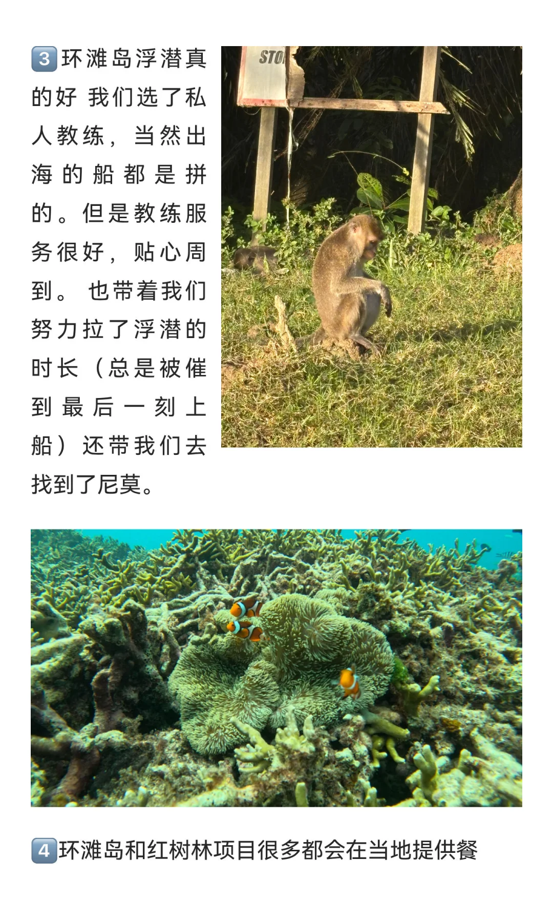 11.5-11.9亚庇已回！真心码字诚不欺众