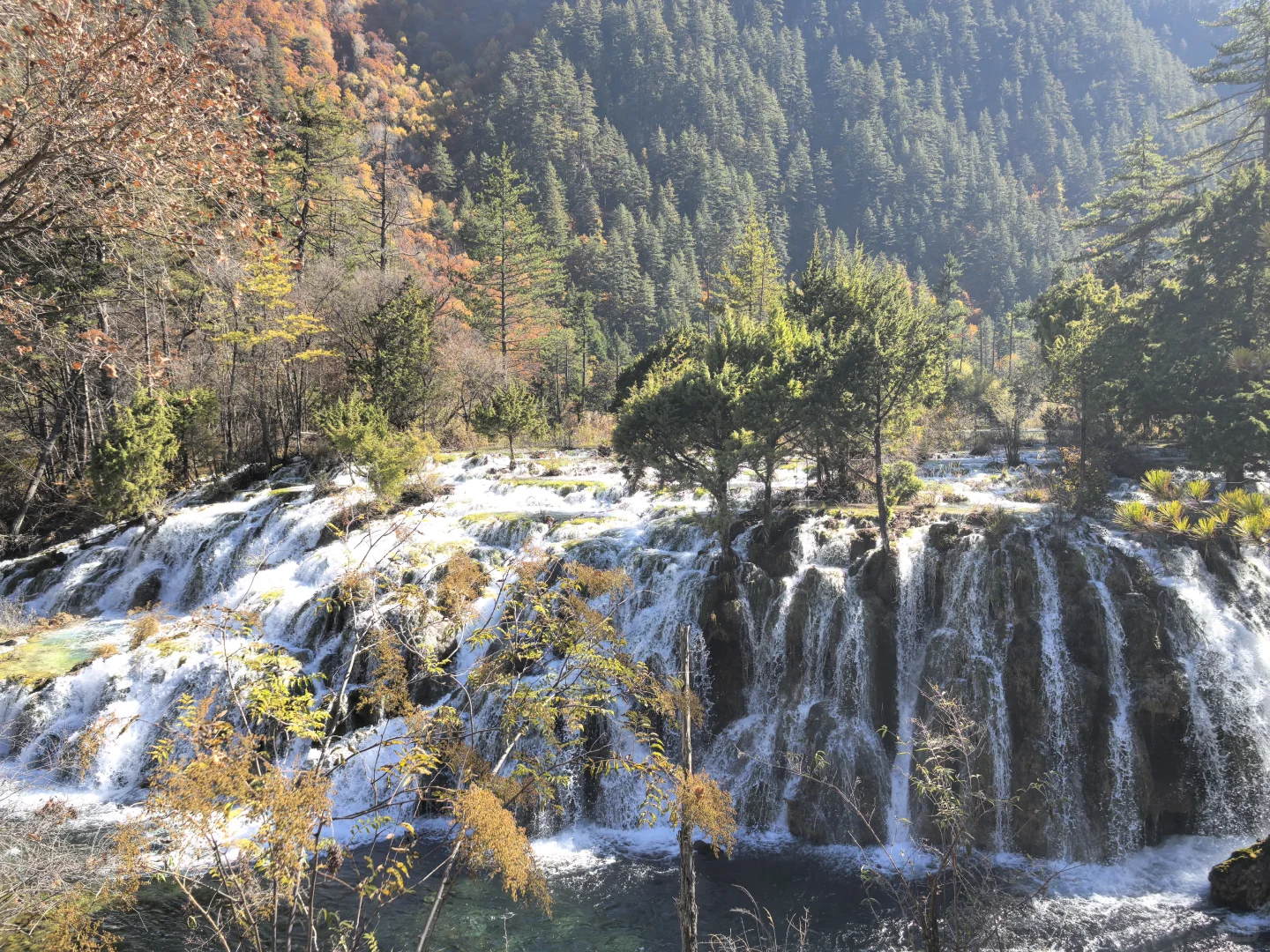 11.11九寨沟树正沟实况