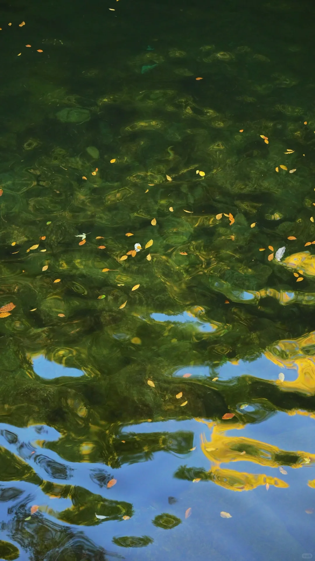 全屏｜迄今为止蕞震撼的赏秋🍁地出现了！