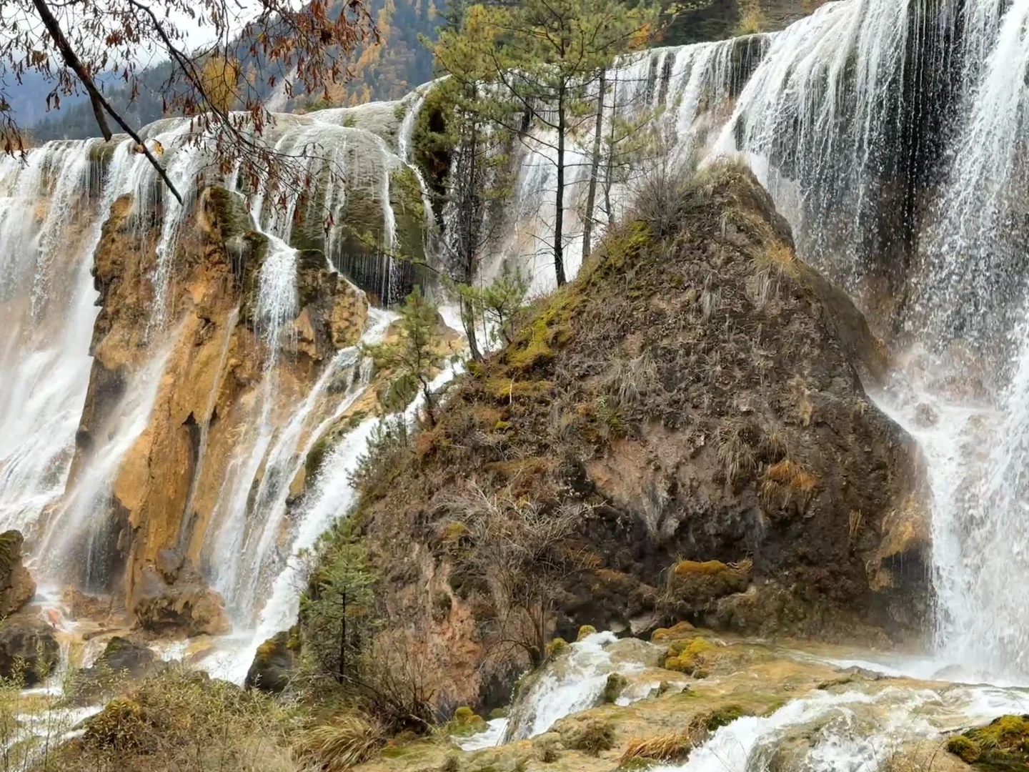 说一万次“太美了”