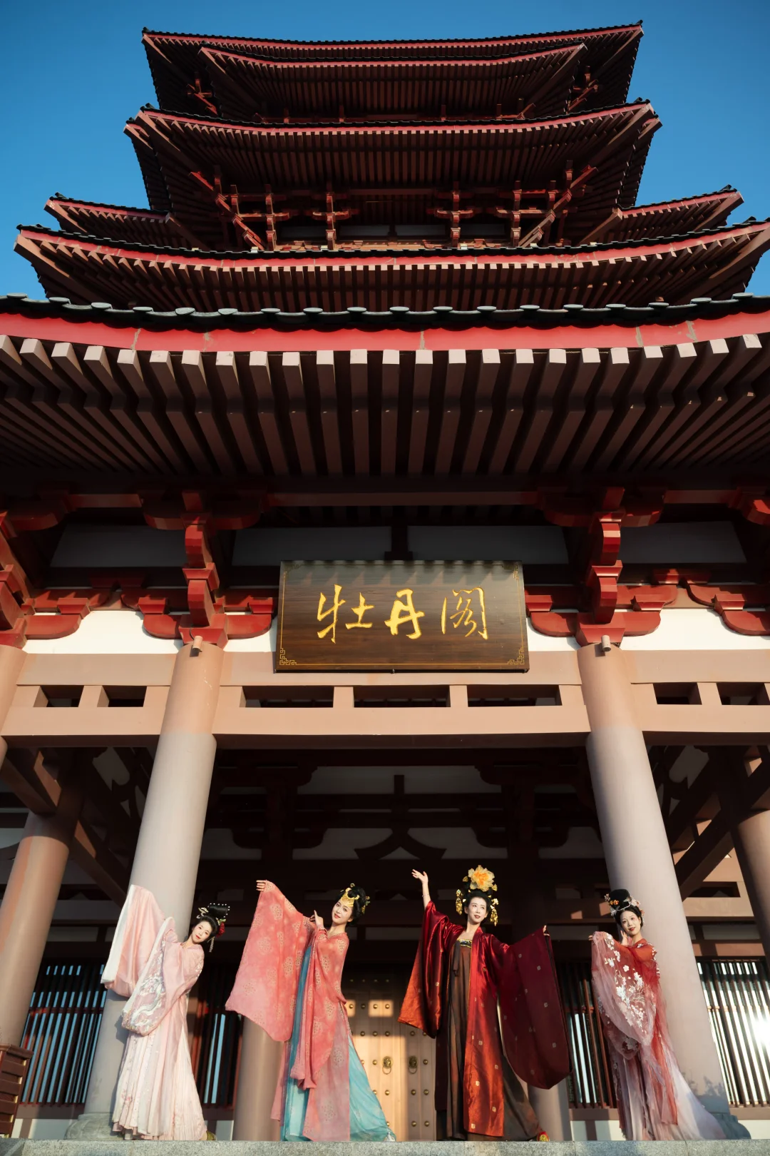 洛阳新晋汉服打卡地！牡丹阁也太出片了！