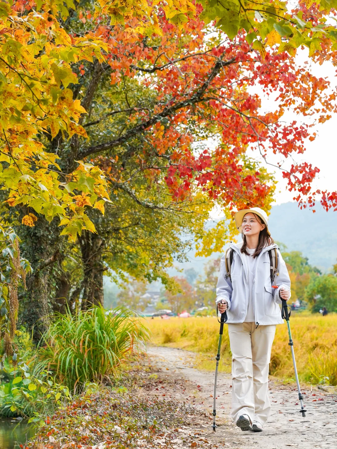 塔川实拍🍁皖南秋天可以冲啦‼️附拍照攻略