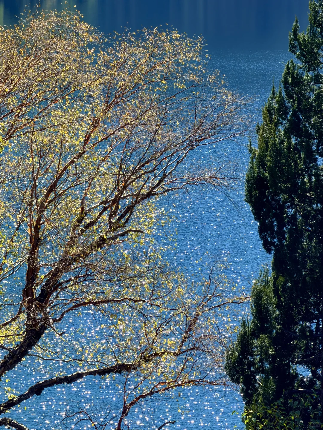 10.27九寨沟豪赌成功!红叶美哭|Live实况