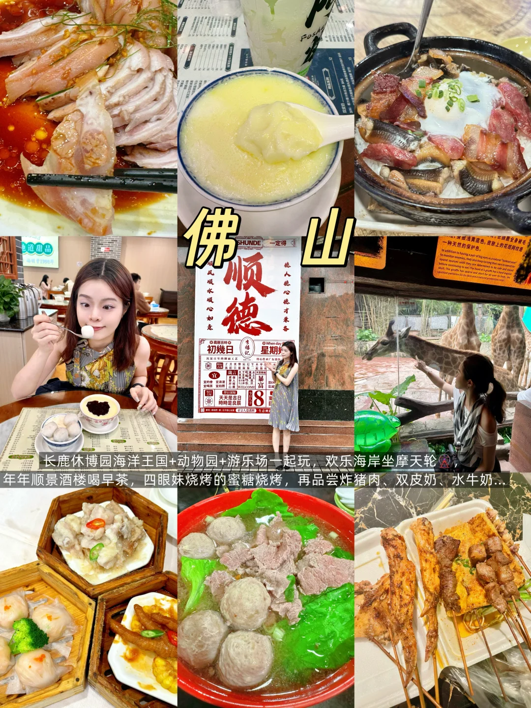 东莞周边🏝️适合秋天放松的14个城市🍂