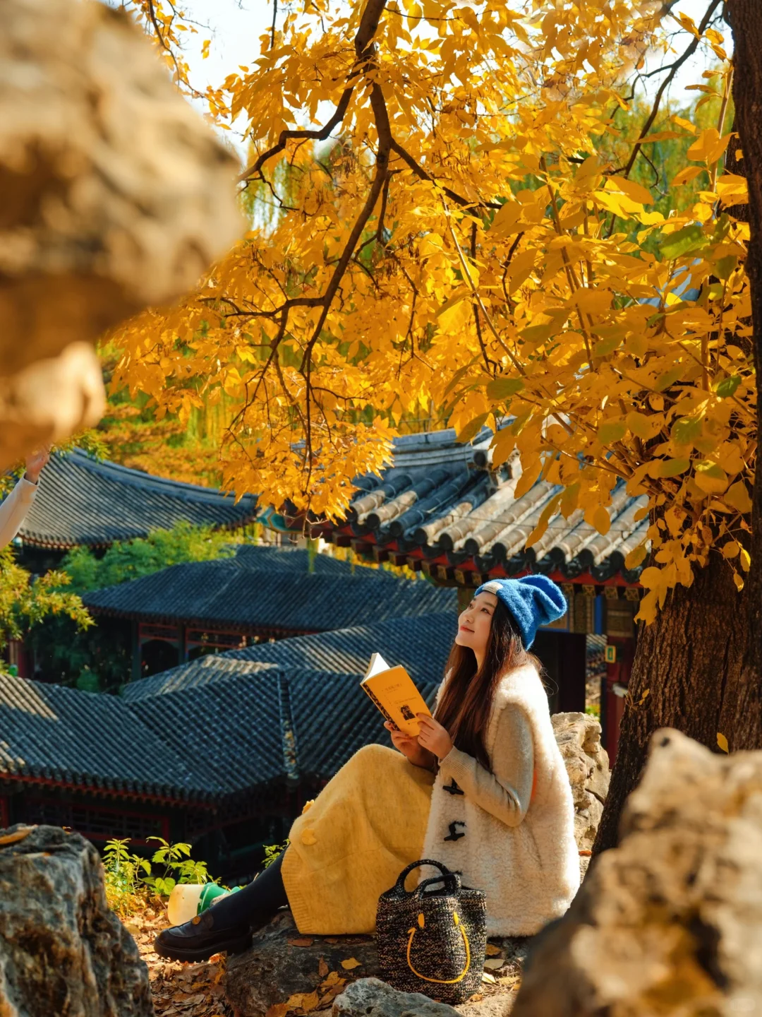 11.5实况!!颐和园油画般的秋景!杀疯了!🍂🍁