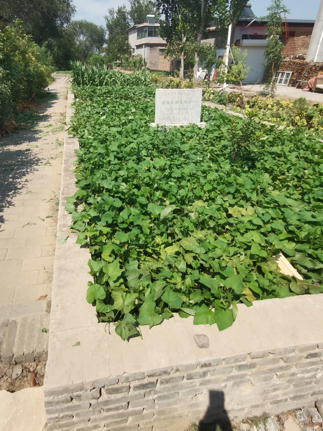 北齐文宣皇帝高洋武宁陵