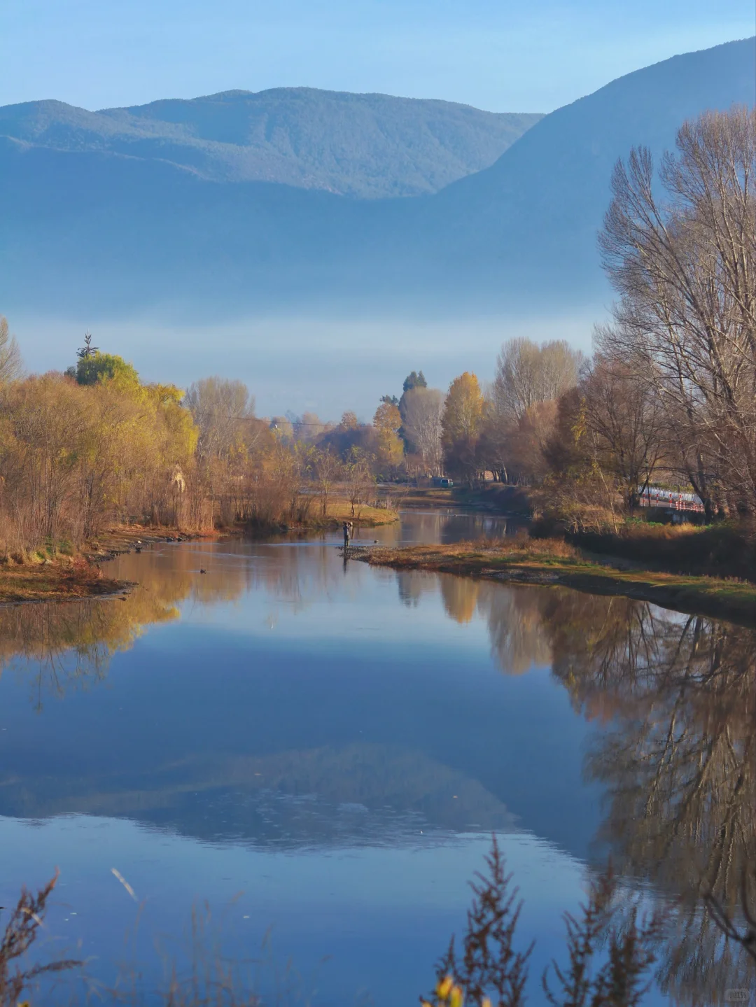 接下来的大理🍂才是冬日里的人间理想！