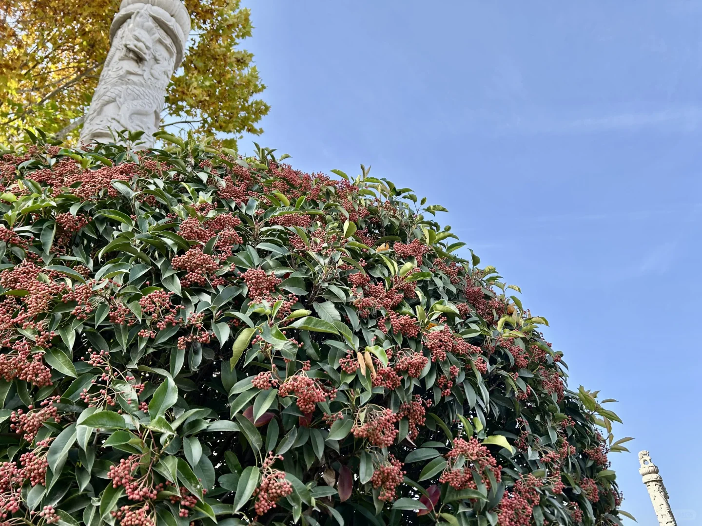 秋季再访免费元宝山~