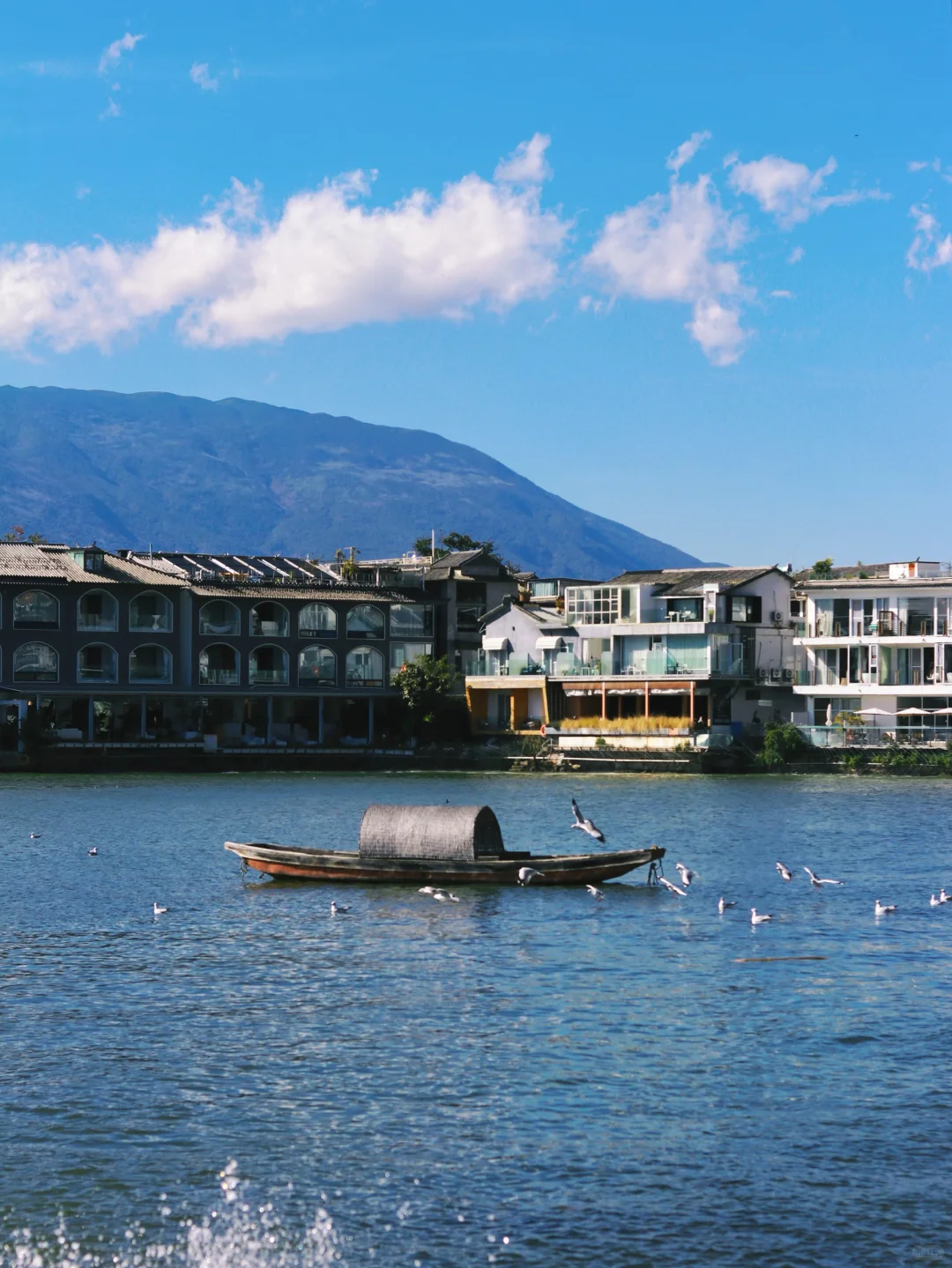 接下来的大理🍂才是冬日里的人间理想！