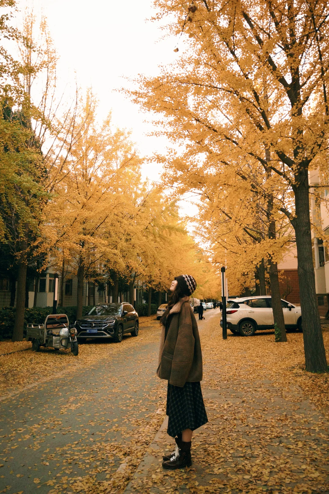 秋天是春天的倒叙