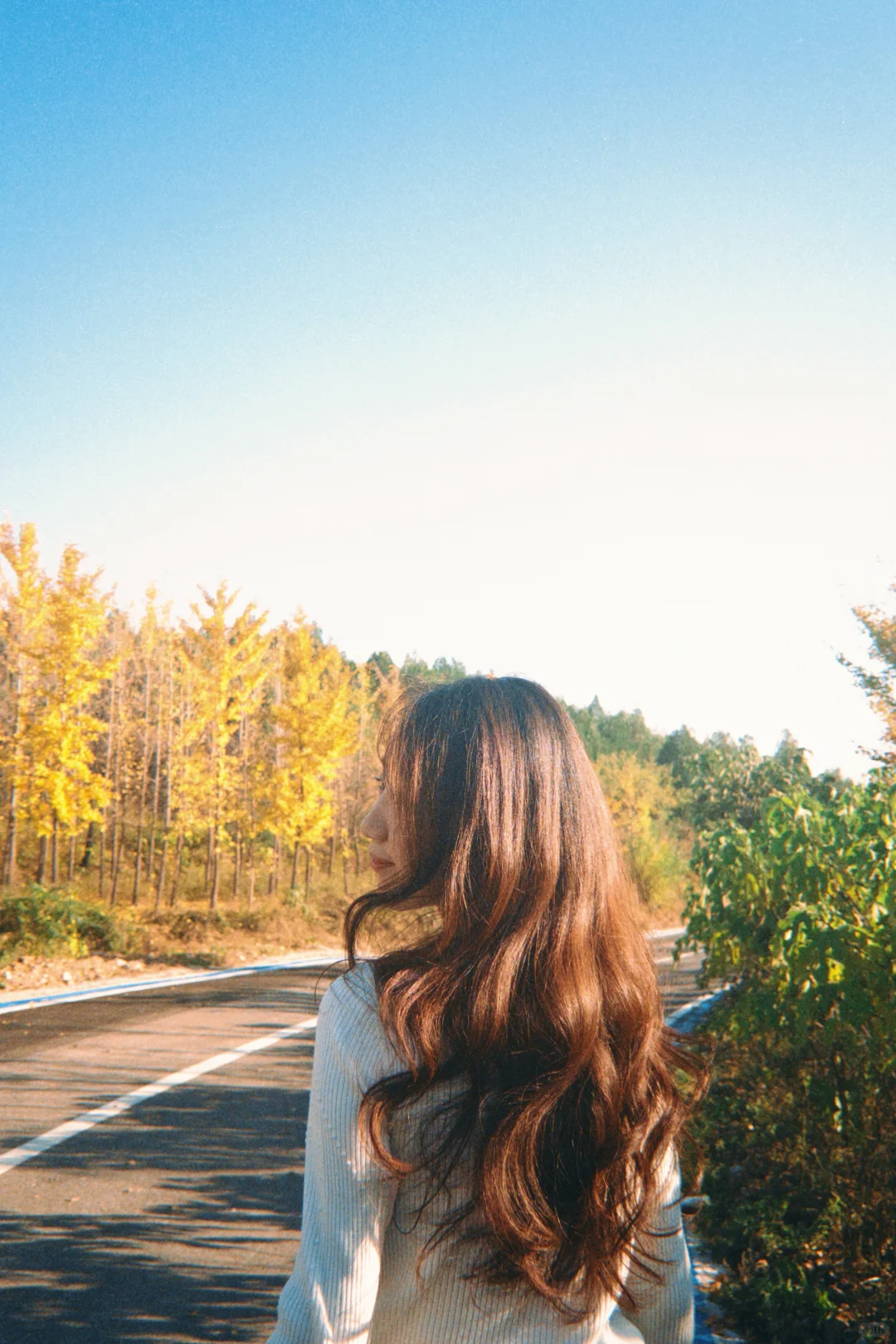 秋天是春天的倒叙