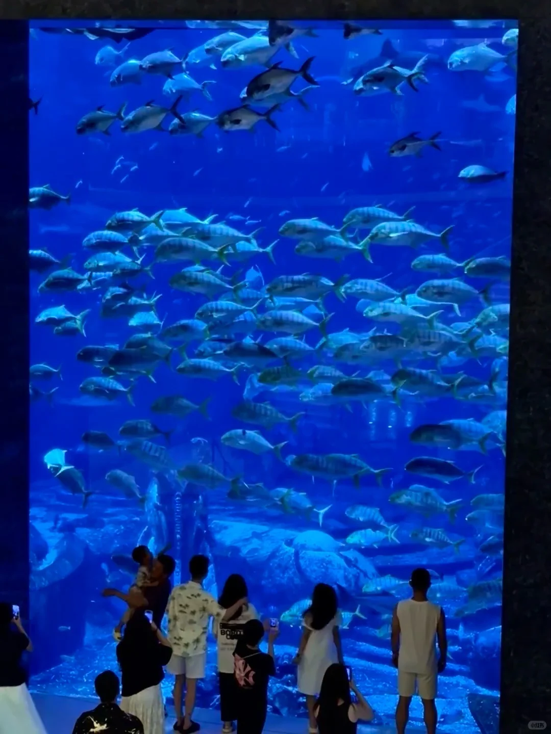 11-12月三亚旅游攻略来咯🏖