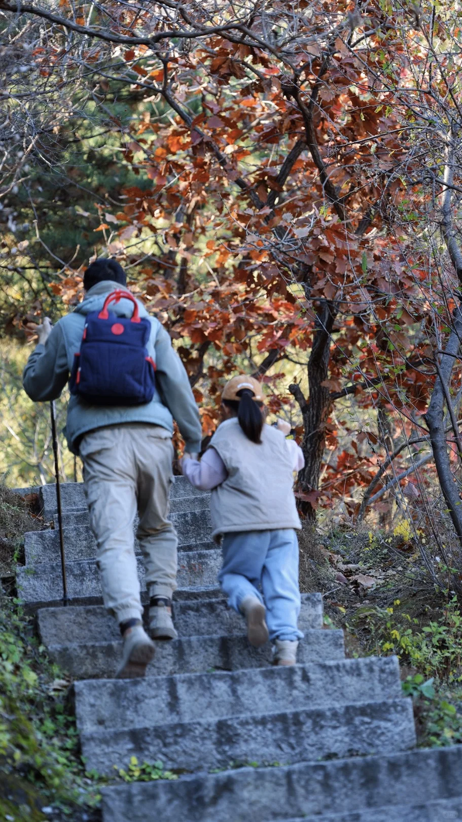 京北禅意秋色|被低估的小众秘境🍂(附攻略)