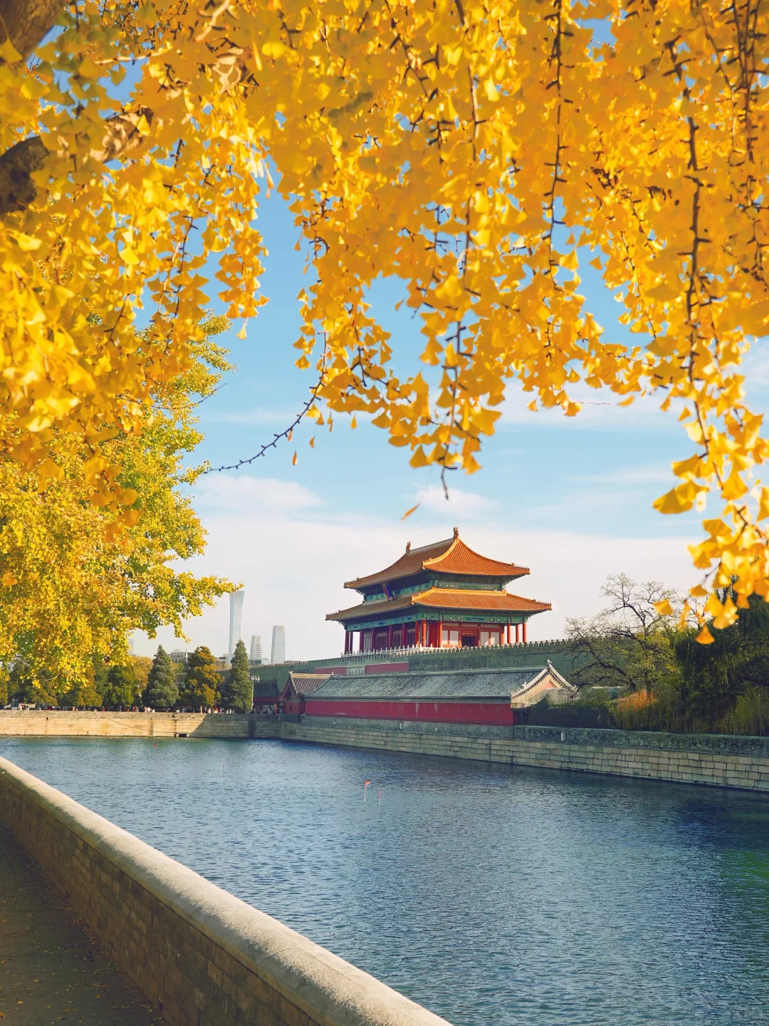 答应我,本周来北京一定走这条路线🍂11.6版