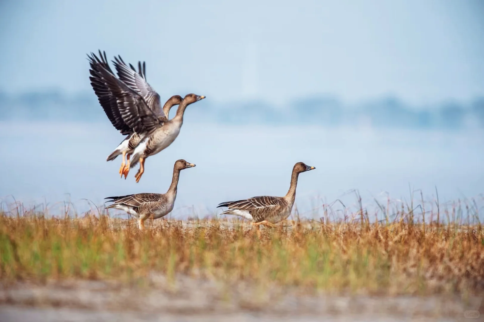 超酷玩法！钱塘工业旅游攻略