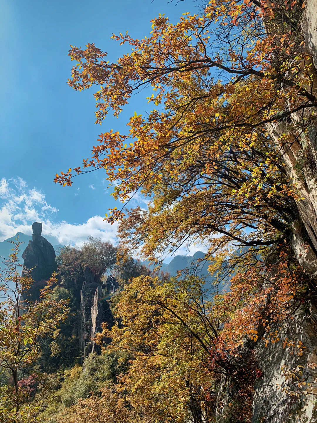 翠华山的秋色美绝了🍂