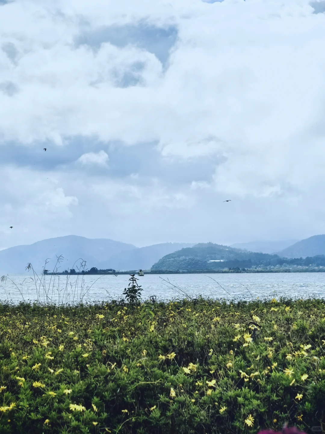 我知我喜乐，纵情跋涉”✈️