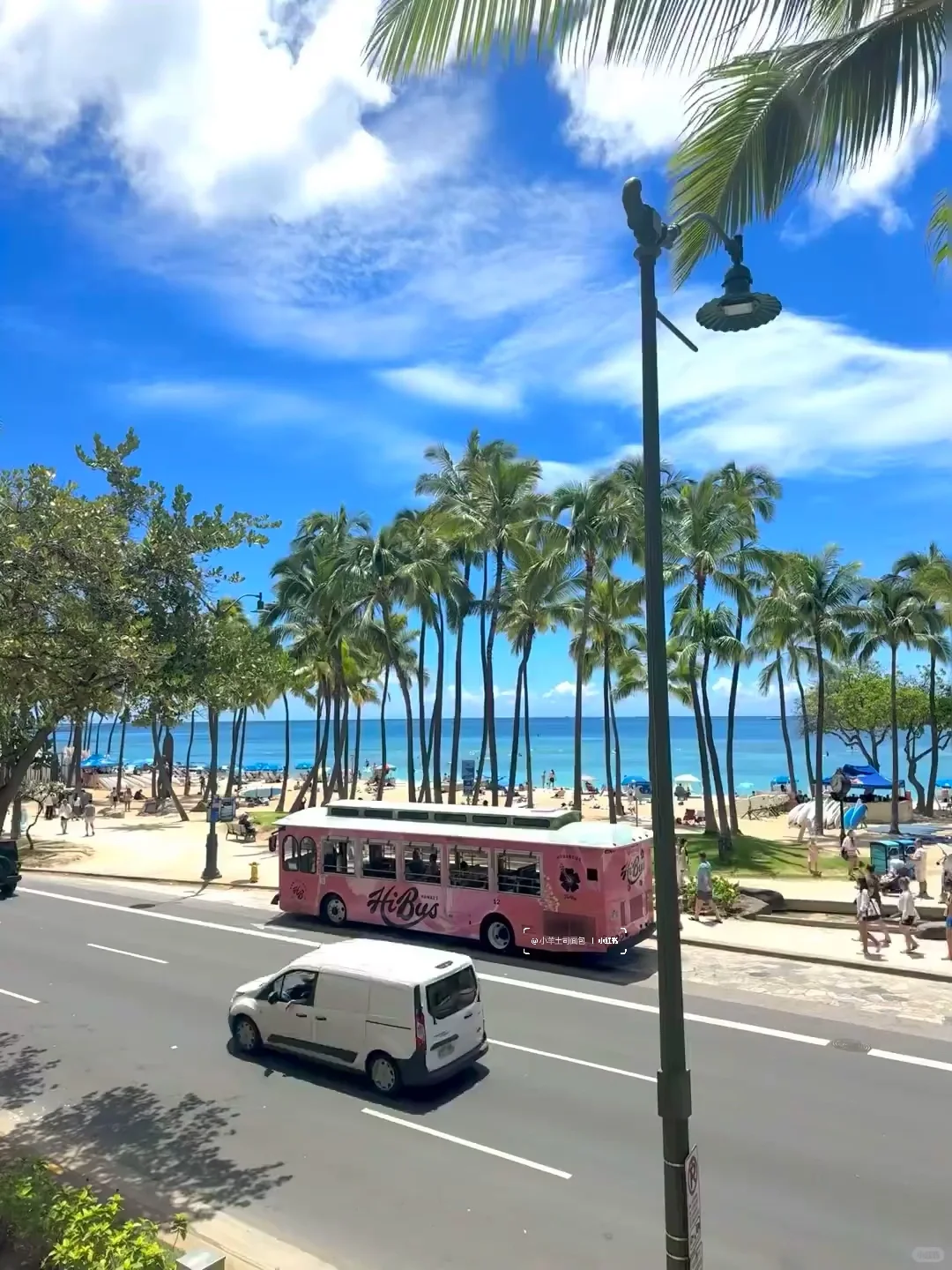 11.12📍夏威夷受罪已回,跟xhs说的不一样😅