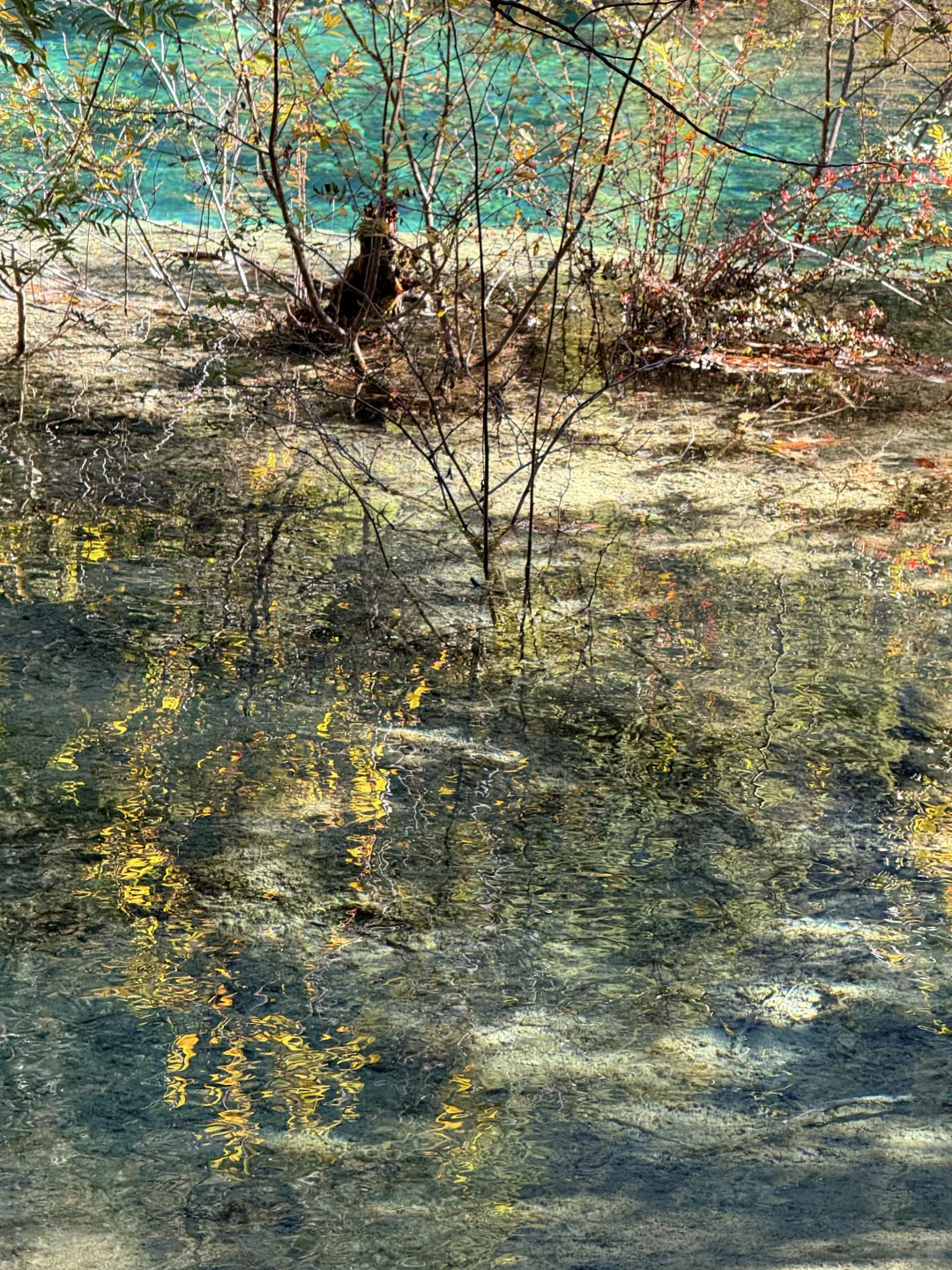 说一万次“太美了”