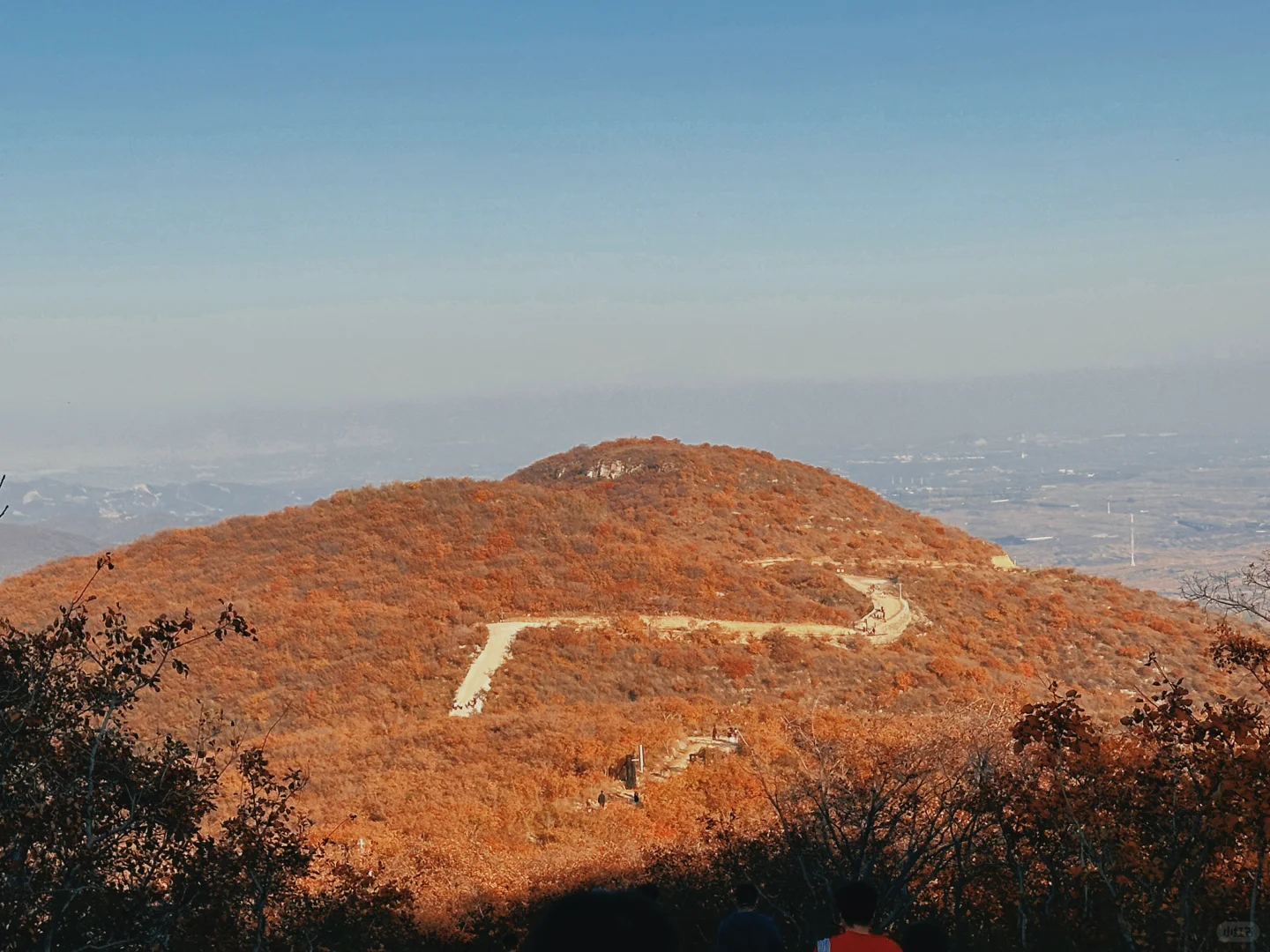 想看看你们拍的红叶🍁