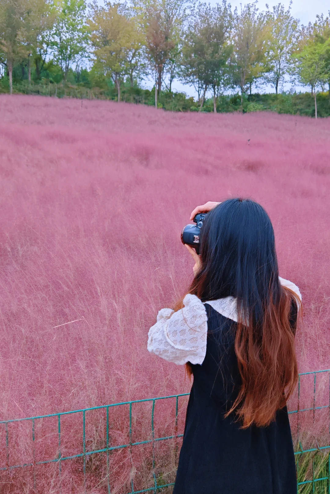 邯郸🥰关于粉红色的一切✨