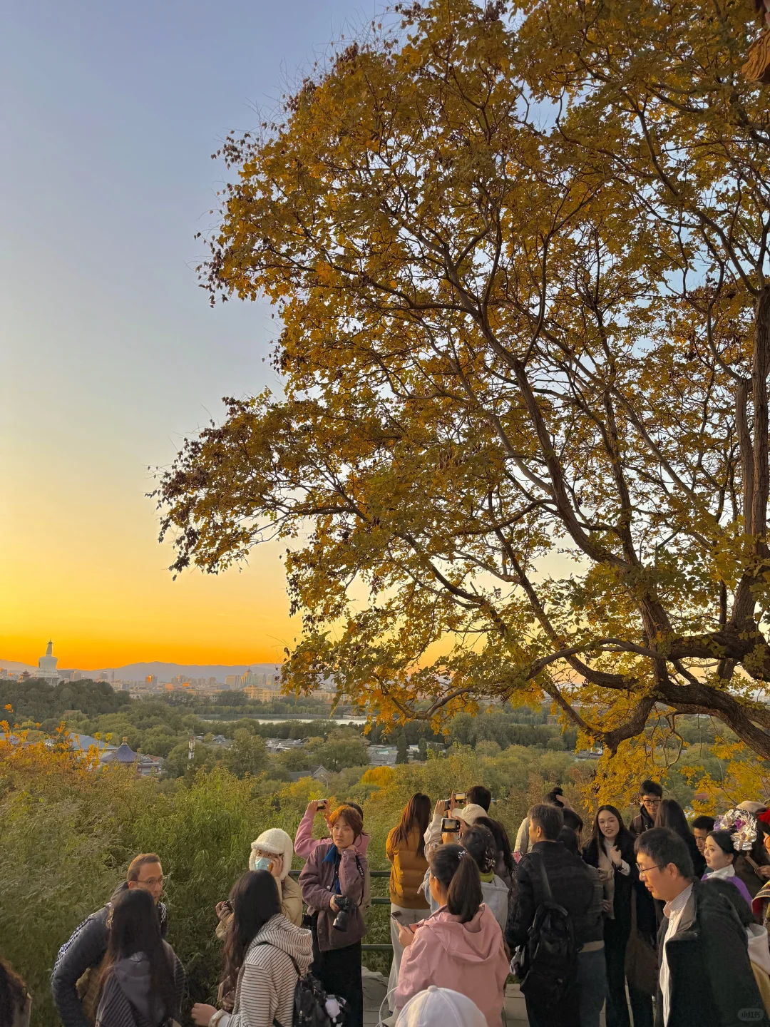 10.31实况！！故宫的绝美日落杀疯了！！！！！！
