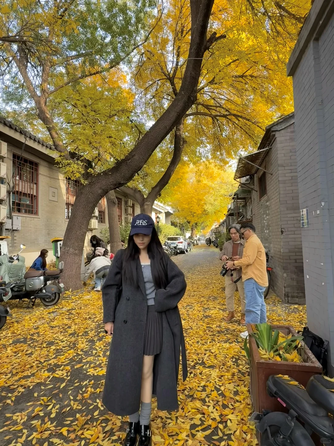 11.8实况！北京今天的胡同杀疯了！！