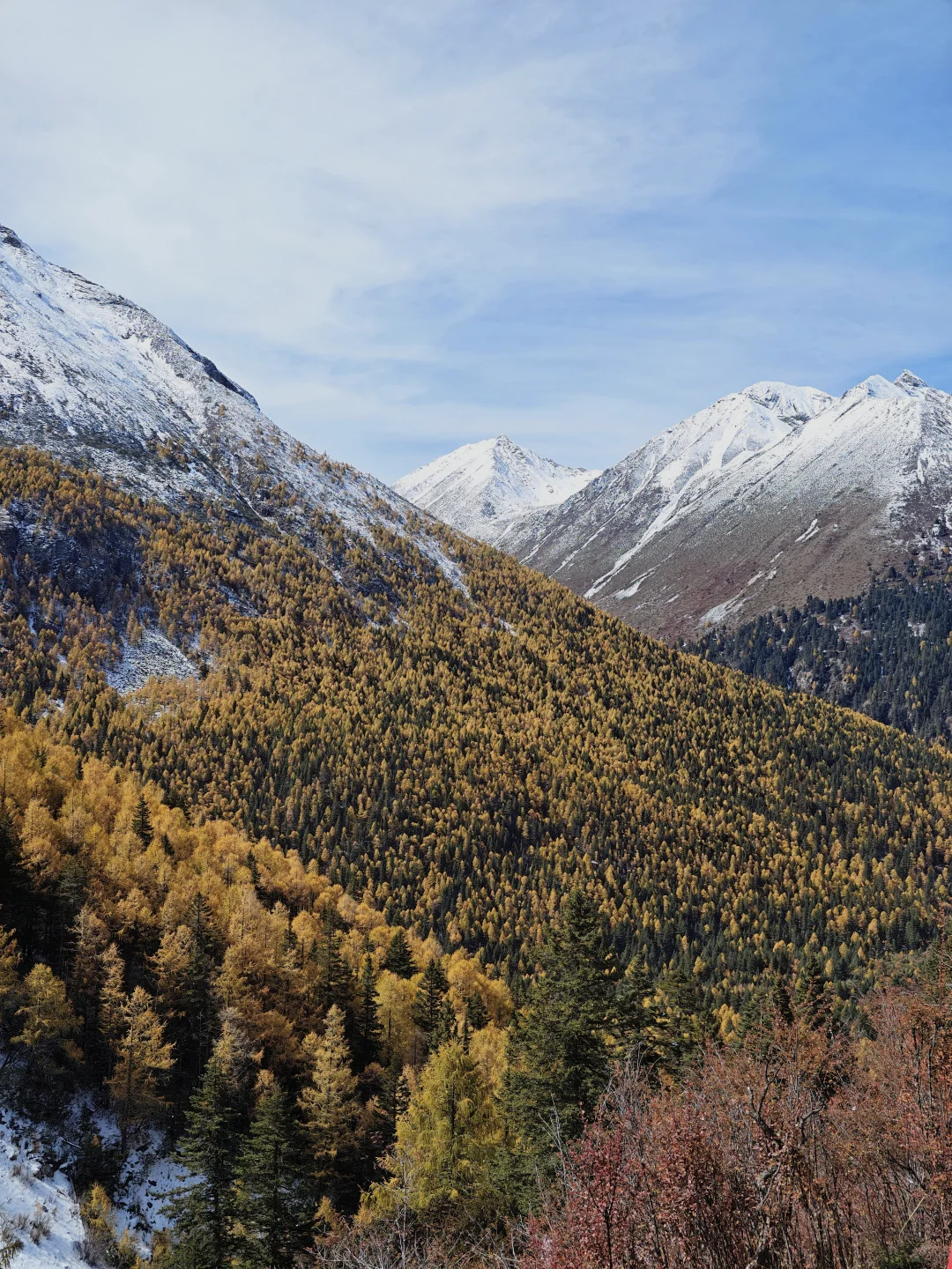 可能是川西最被低估的景区