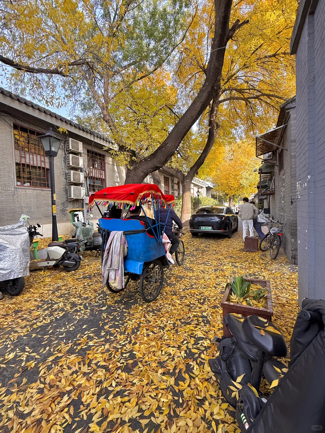 11.8实况！北京今天的胡同杀疯了！！