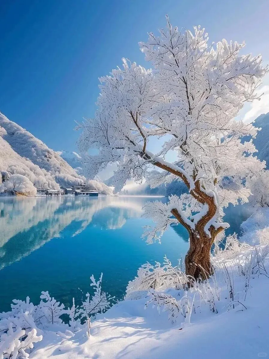 今年冬天总要去一次阿勒泰玩雪吧!