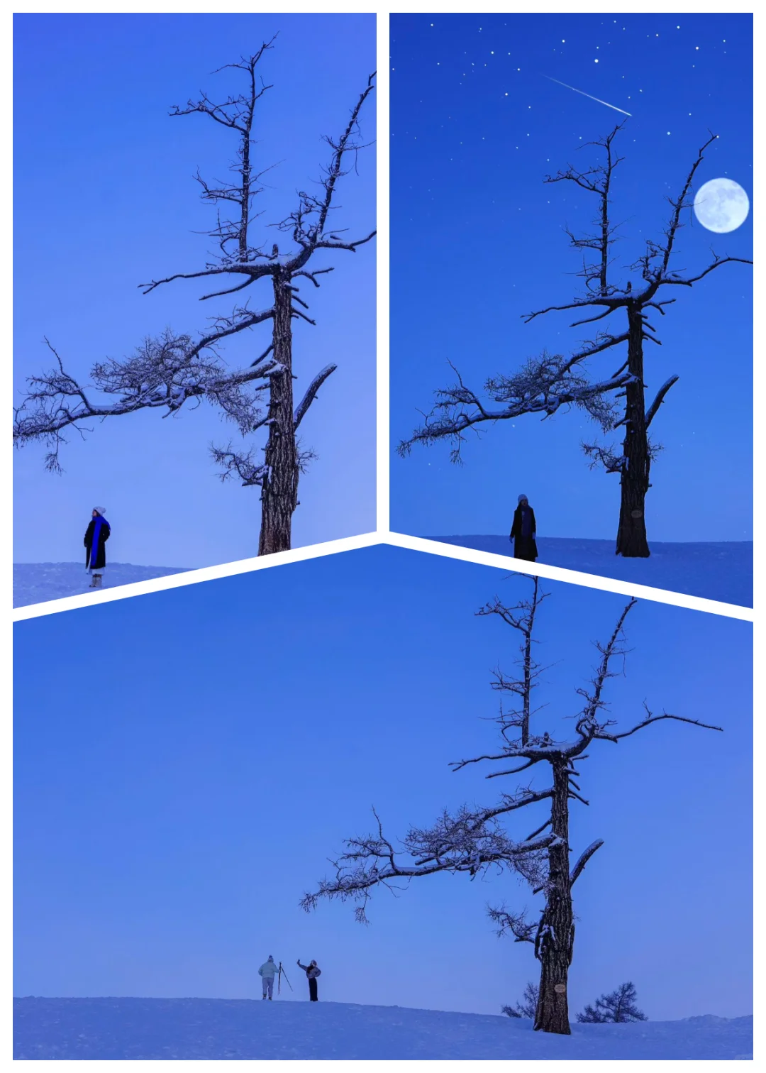 ❄️12-2月冬日新疆｜雪国秘境景点推荐