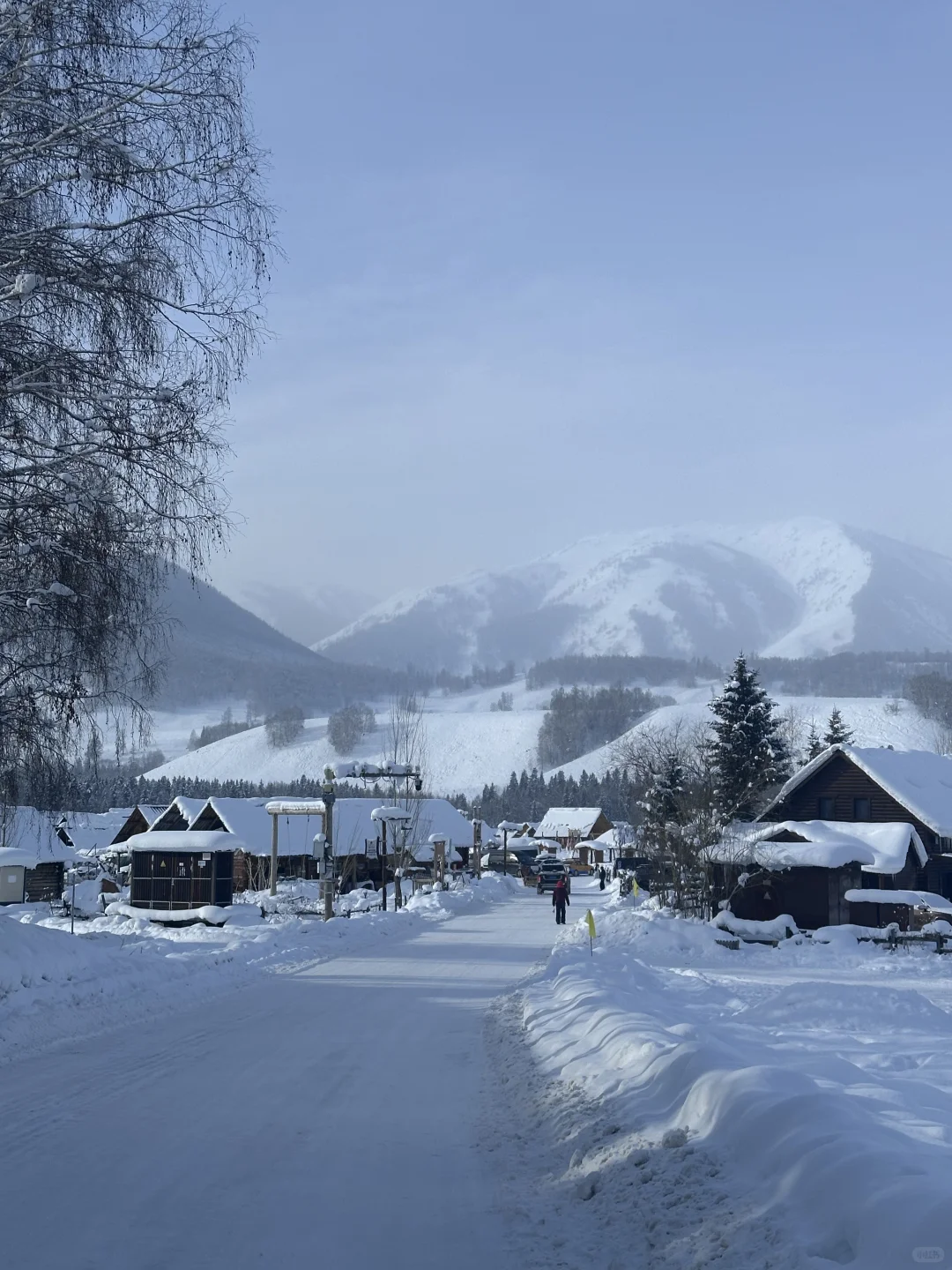 比冬天先来的是阿勒泰的回忆live