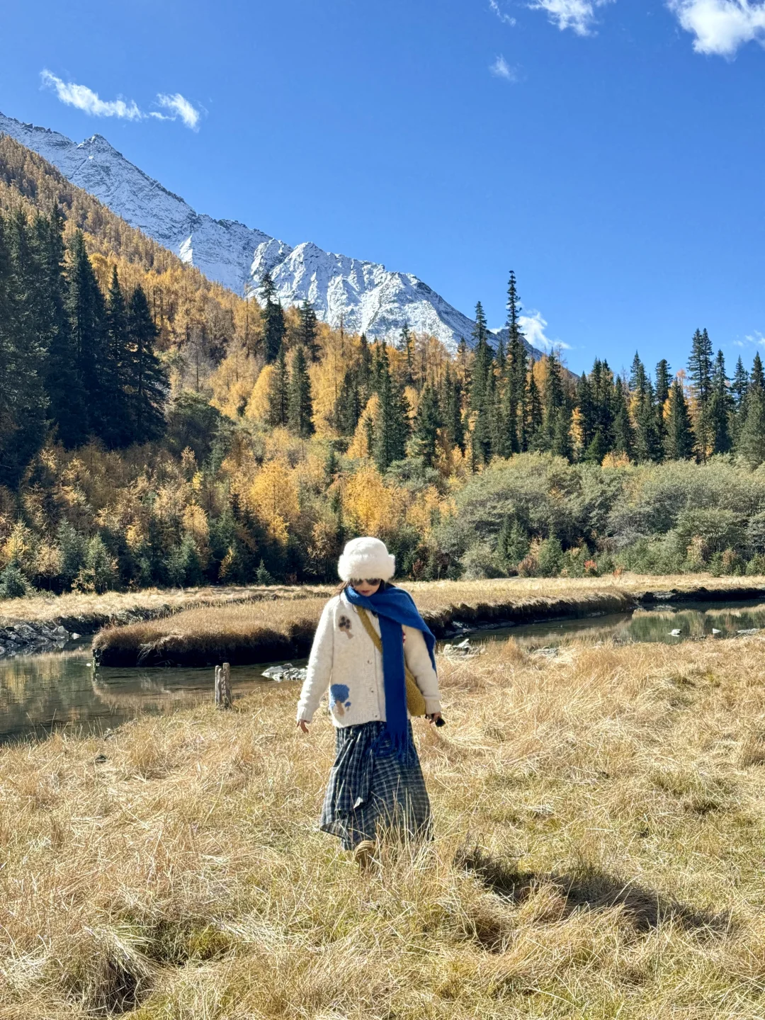 11.6📍理小路爆美！！川西是史诗级的秋天live