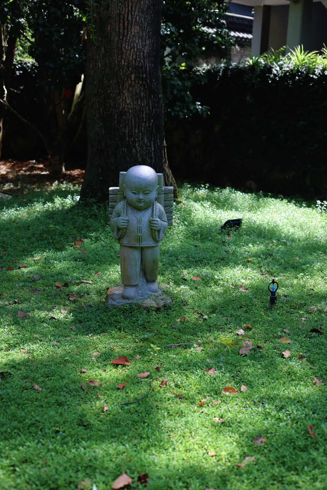 逃到山里，去见清风明月🌳🍃