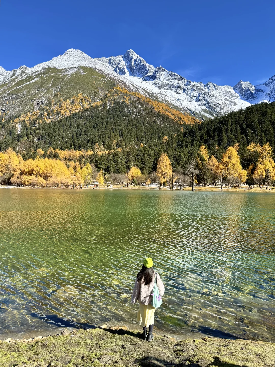 我在毕棚沟看到了此生最绚烂的秋天！！live图