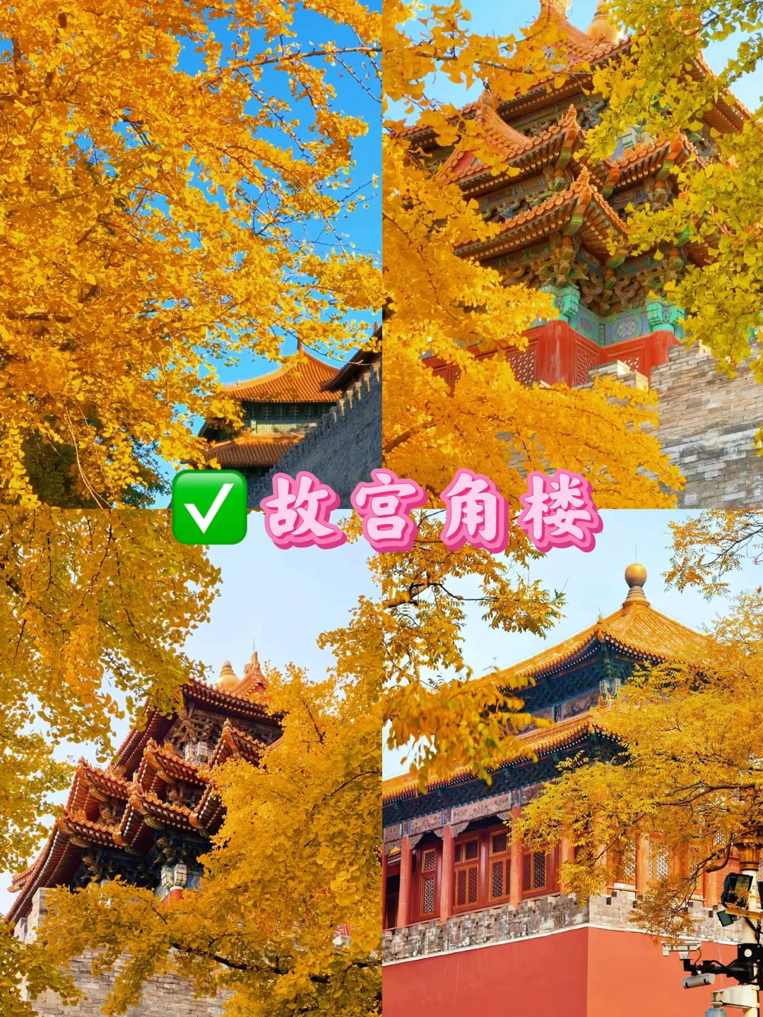 北京九大赏秋地合集！错过还得在等一年🔥