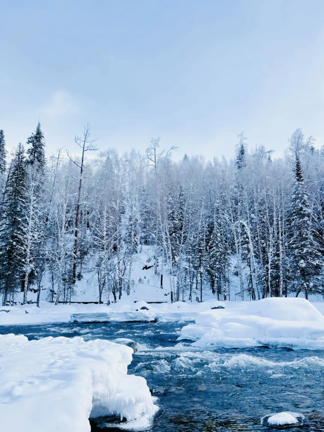北疆阿勒泰的冬❄️一秒闯入冰雪童话仙境