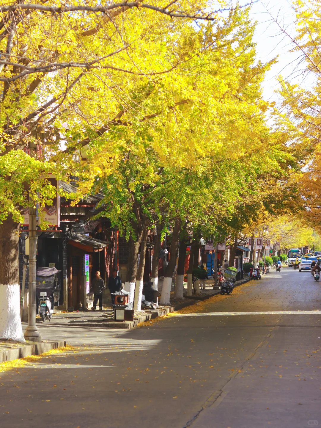 接下来的大理🍂才是冬日里的人间理想！