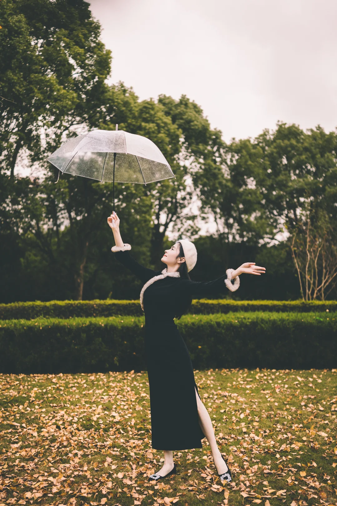 温岭湖心公园银杏