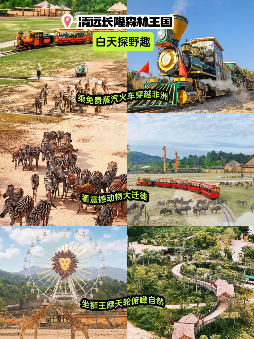 清远长隆2天，住长颈鹿酒店送温泉又送早