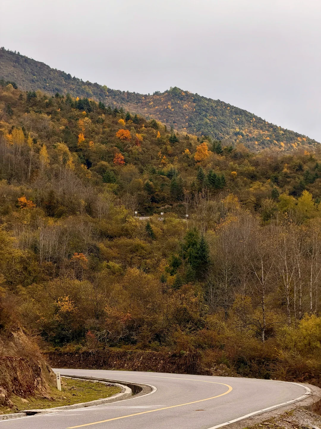 春秋假活动来啦！一起来牛背山赏彩林观雪山