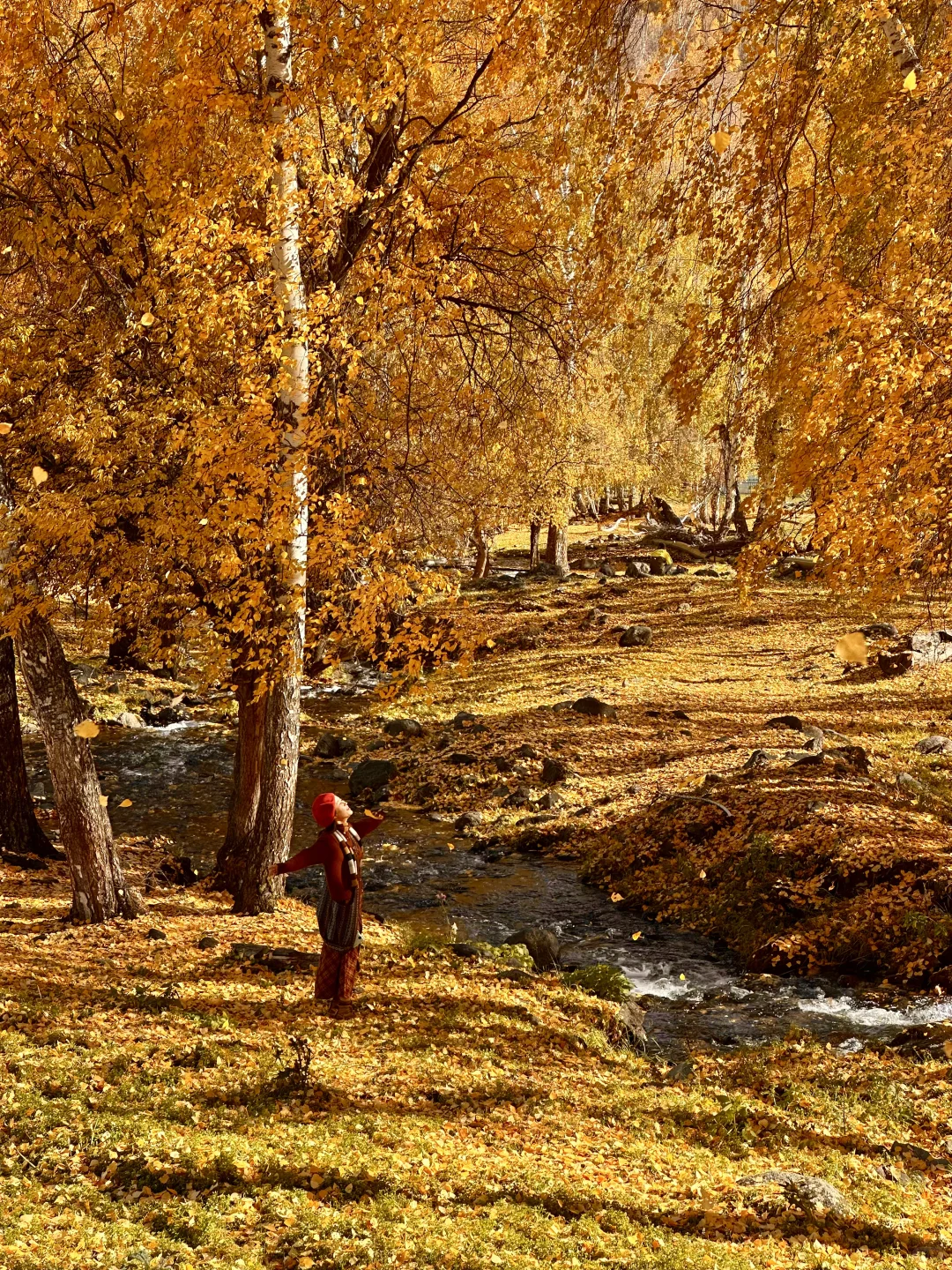 “我应该这辈子都忘不了阿勒泰的秋天了”